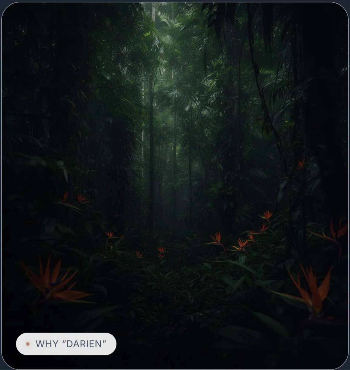 Jungle with orange flowers